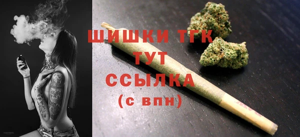 дмт Богородск