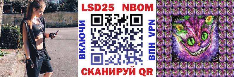 что такое   блэк спрут как зайти  Марки N-bome 1500мкг  Торопец 