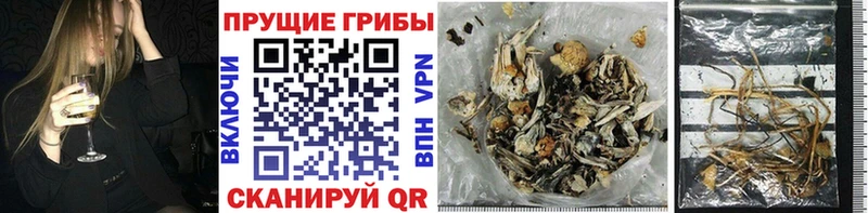 Псилоцибиновые грибы Magic Shrooms Торопец