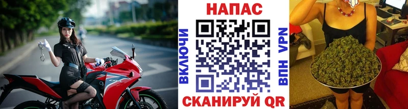 Конопля Bruce Banner Торопец